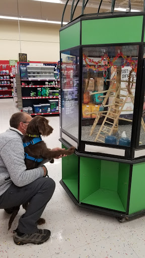 Pet Supply Store «Petco Animal Supplies», reviews and photos, 253 Burgess Rd, Harrisonburg, VA 22801, USA