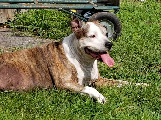 451 River Rd, Willington, CT 06279, USA