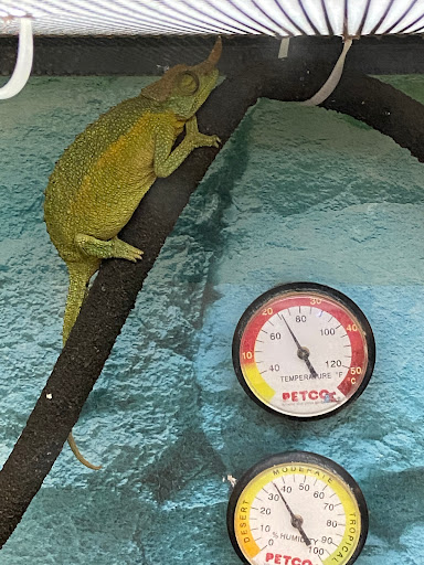 Pet Supply Store «Petco Animal Supplies», reviews and photos, 1933 South Rd, Poughkeepsie, NY 12601, USA