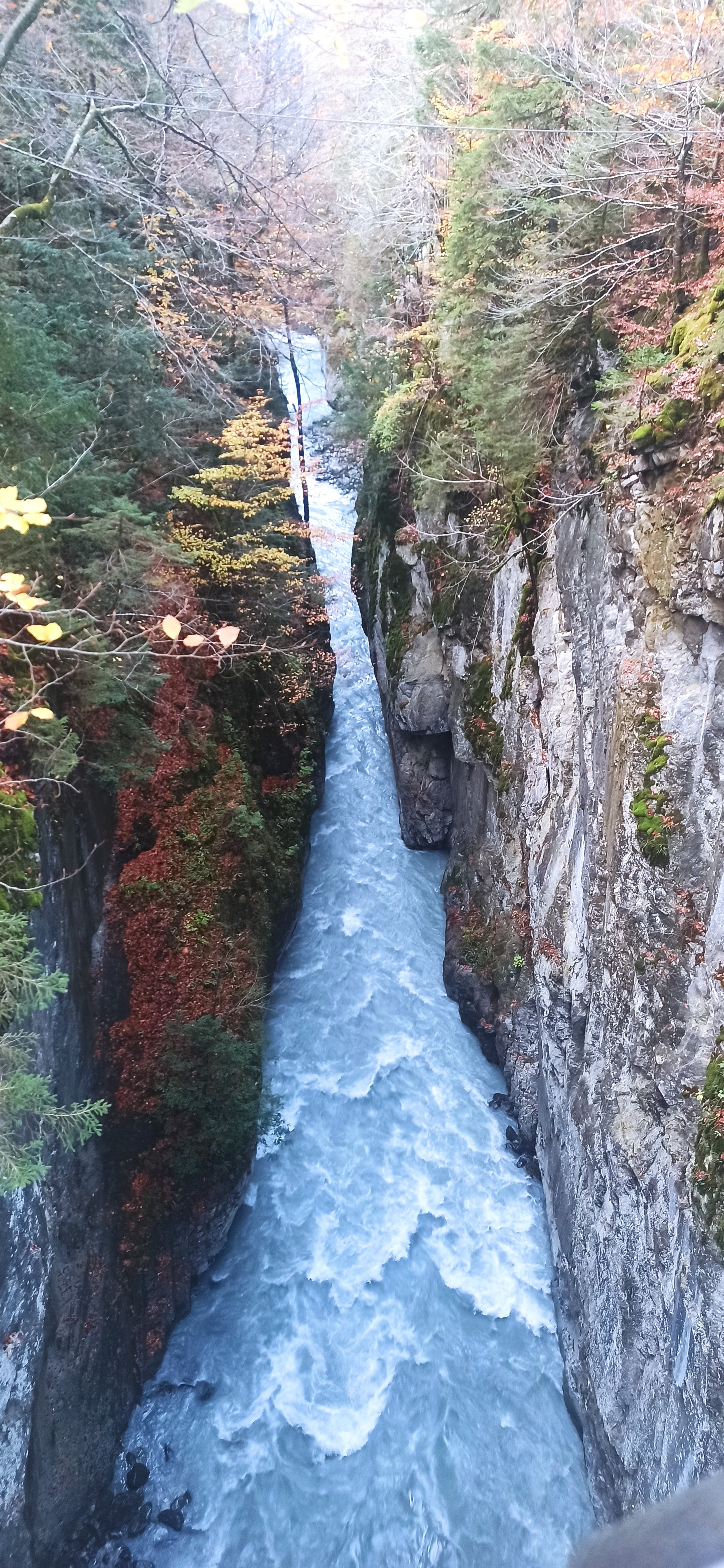Photo n° 1 de l'avis de Anaïs.o fait le 28/10/2022 à 11:47
