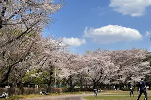 Kodaira City Central Park image