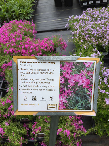 Golf Course «Mount Pleasant Golf Course», reviews and photos, 6001 Hillen Rd, Baltimore, MD 21239, USA