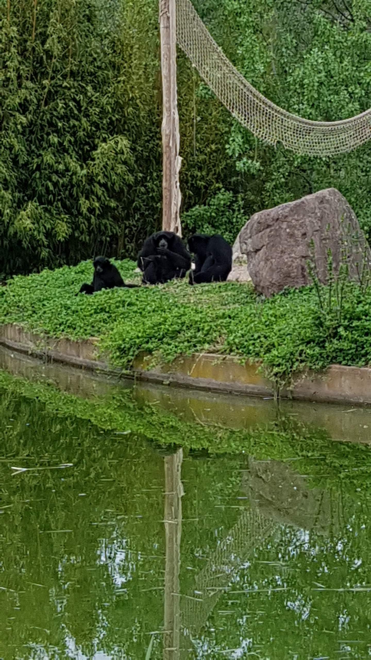 Photo n° 35 de l'avis de Isabelle.e fait le 16/04/2019 à 22:21