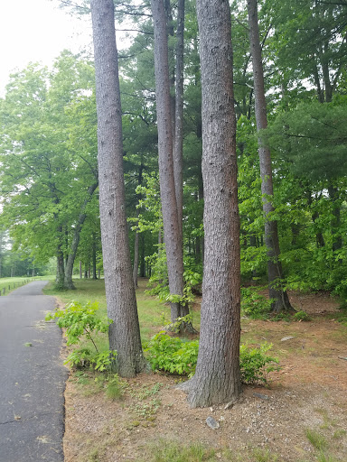 Country Club «Norton Country Club», reviews and photos, 188 Oak St, Norton, MA 02766, USA