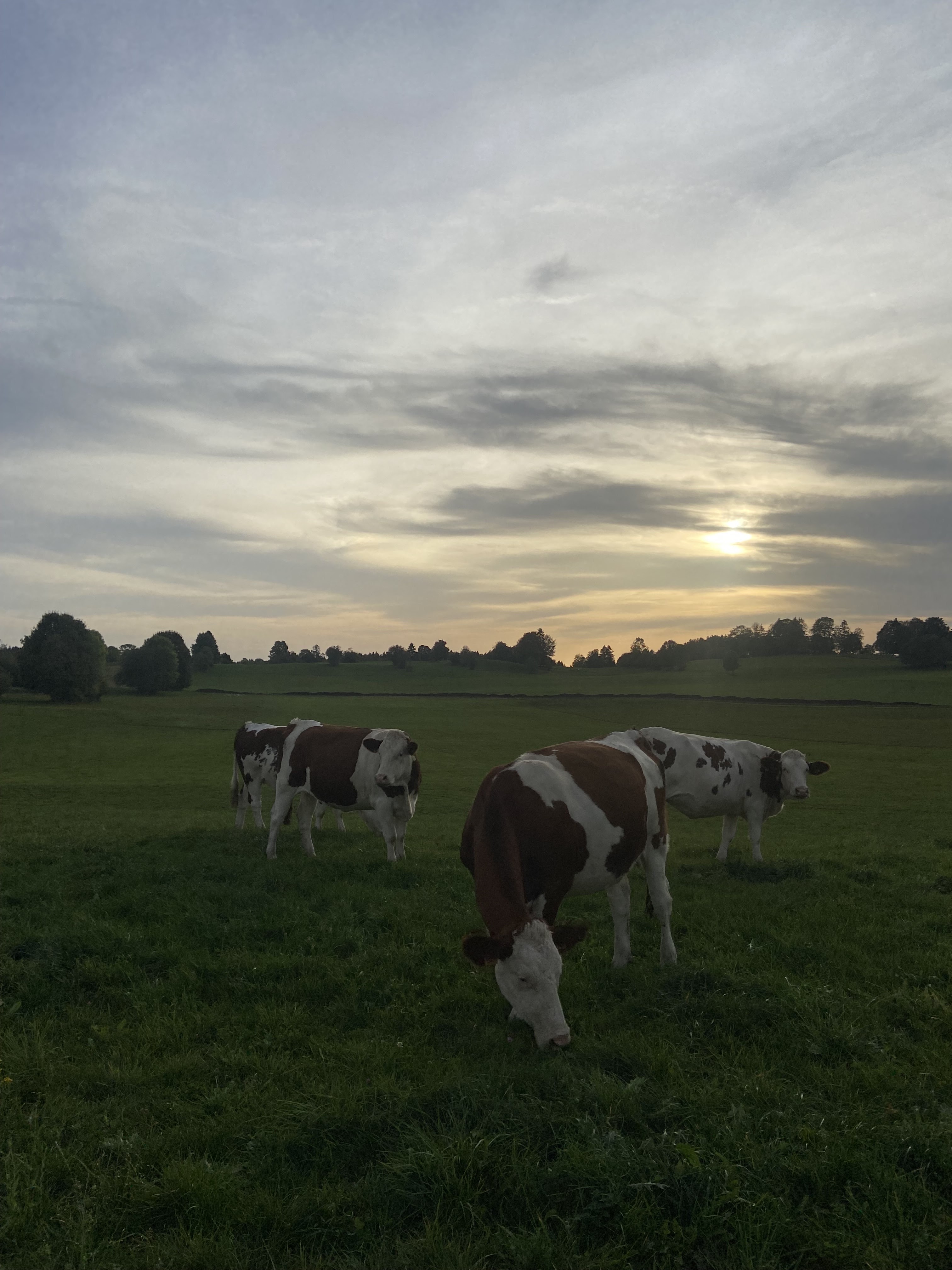 Photo n° 2 de l'avis de Boris. fait le 13/10/2023 à 20:06
