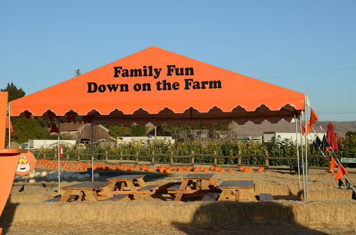 Pumpkin Patch «Spina Farms», reviews and photos, Santa Teresa Blvd, Morgan Hill, CA 95037, USA