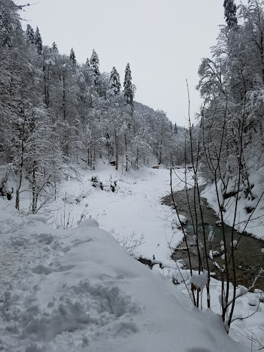 Drug Store «Walgreens», reviews and photos, 750 E 120th Ave, Northglenn, CO 80233, USA