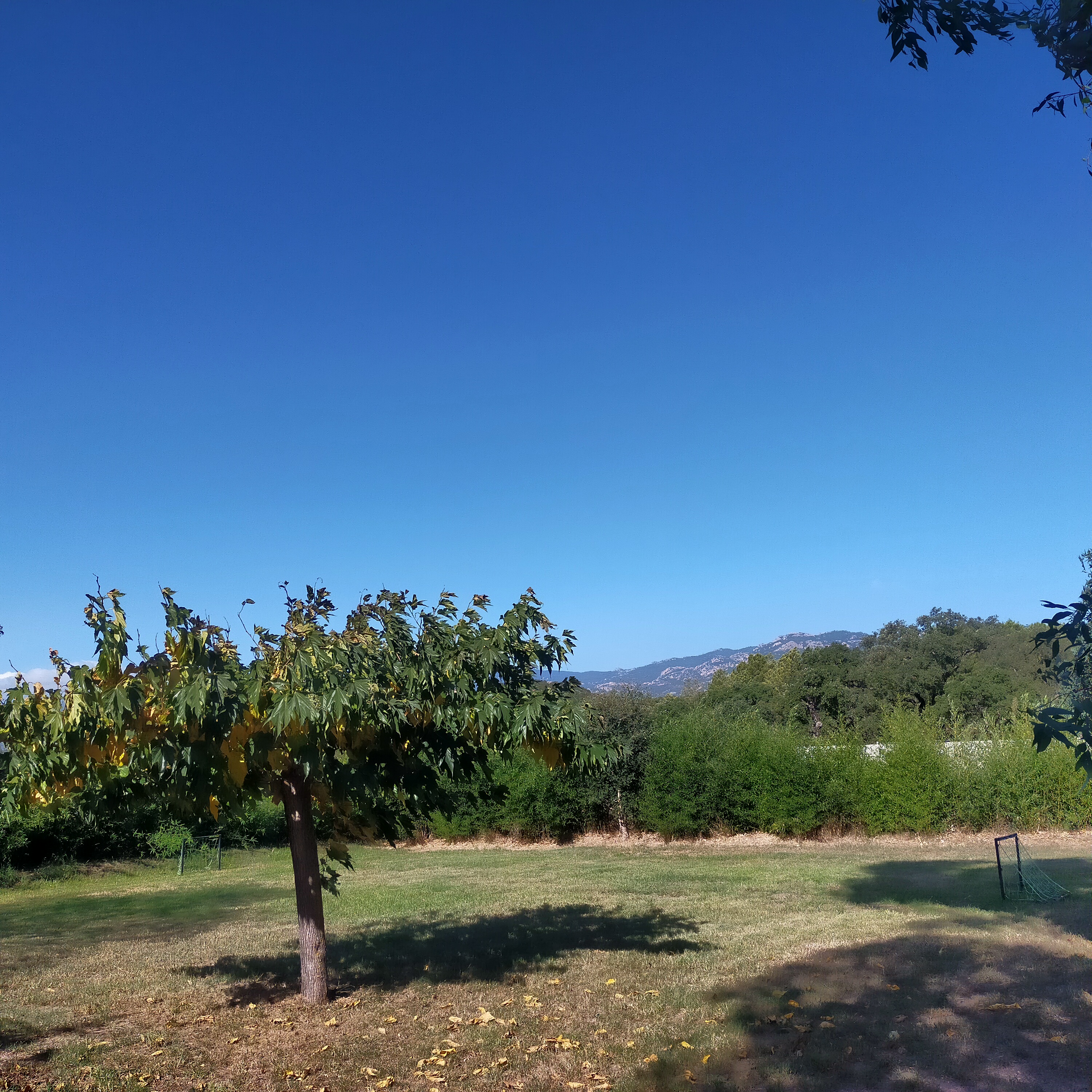 Photo n° 3 de l'avis de Corinne. fait le 18/09/2022 à 17:19