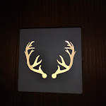 Photo n°2 de l'avis de Stephan.i fait le 10/08/2021 à 07:17 sur le  Torfhaus HARZRESORT à Altenau