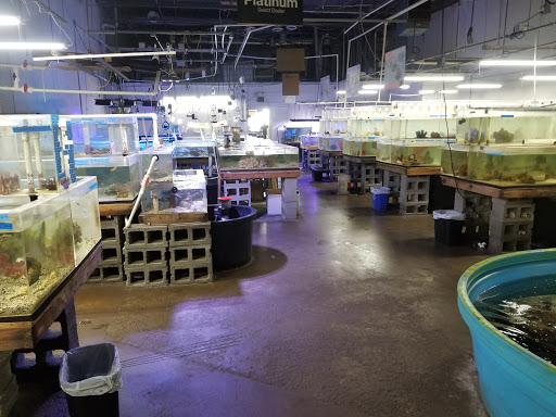 Tropical Fish Store «The Fish Store», reviews and photos, 2050 Chamblee Tucker Rd, Chamblee, GA 30341, USA
