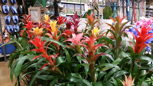 Hardware Store «Orchard Supply Hardware», reviews and photos, 7603 Turkey Lake Rd, Orlando, FL 32819, USA