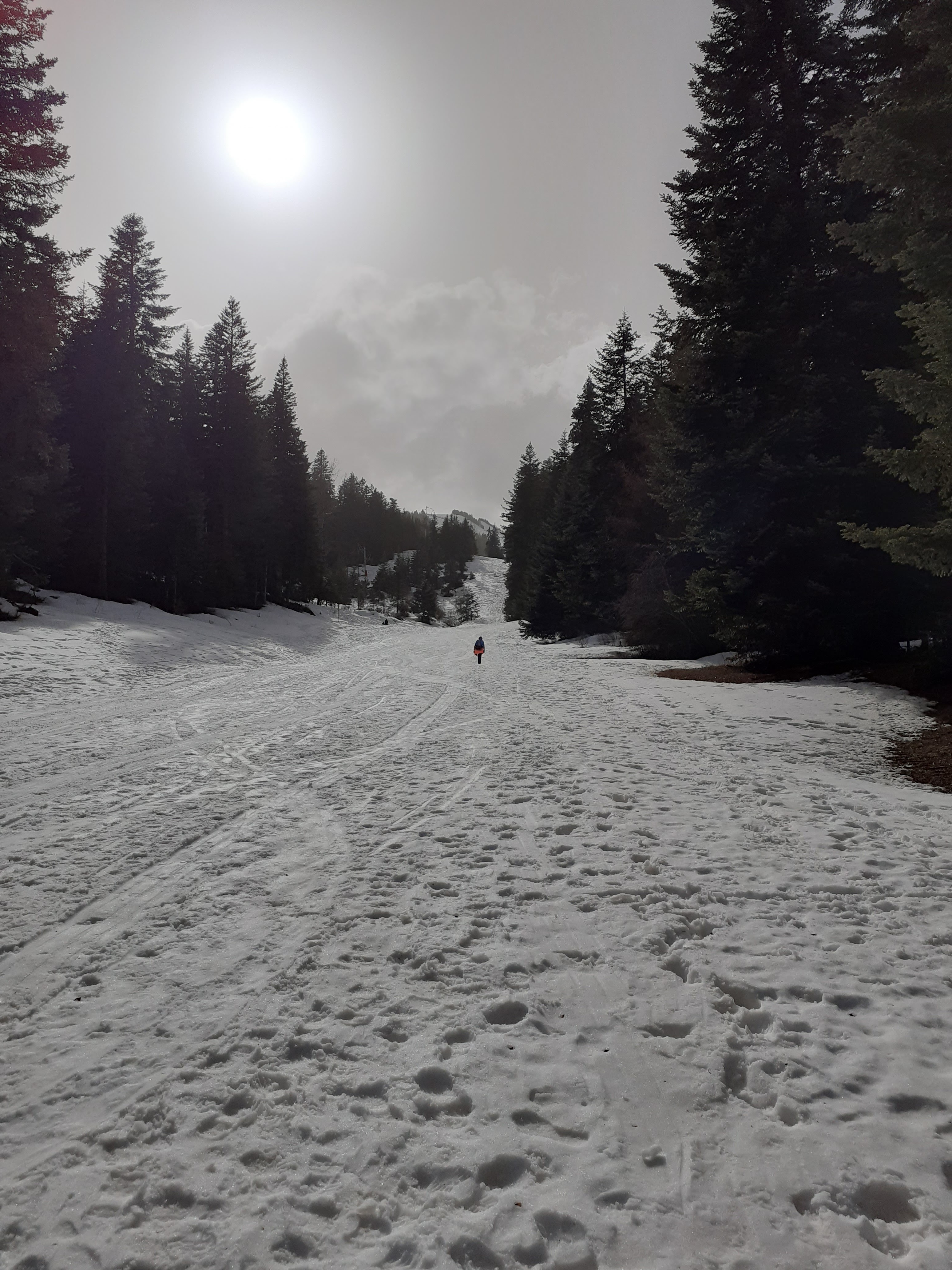 Photo n° 4 de l'avis de aubert.t fait le 23/02/2021 à 13:55