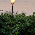 Photo n°1 de l'avis de Alessandro.i fait le 18/07/2023 à 21:13 sur le  L'Oasi Snack-Bar à Pollara