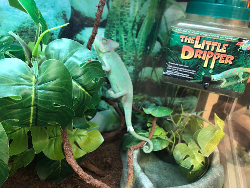 Pet Supply Store «Petco Animal Supplies», reviews and photos, 178 Township Blvd, Camillus, NY 13031, USA