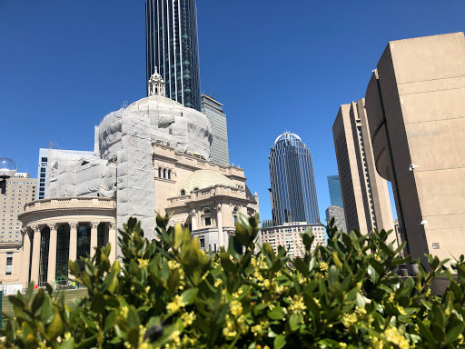 Grocery Store «Whole Foods Market», reviews and photos, 15 Westland Ave, Boston, MA 02115, USA