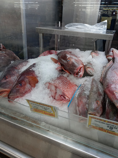 Grocery Store «Presidente Supermarket», reviews and photos, 3108 S University Dr, Miramar, FL 33025, USA