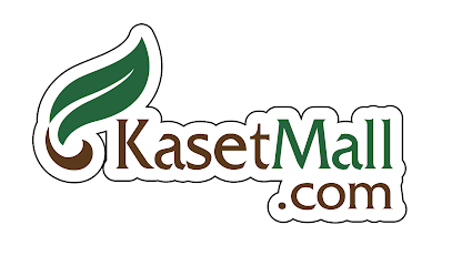 Kaset Mall