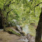 Photo n° 3 de l'avis de Rob. fait le 06/08/2023 à 15:07 pour Cascade des Tufs à Les Planches-prés-Arbois