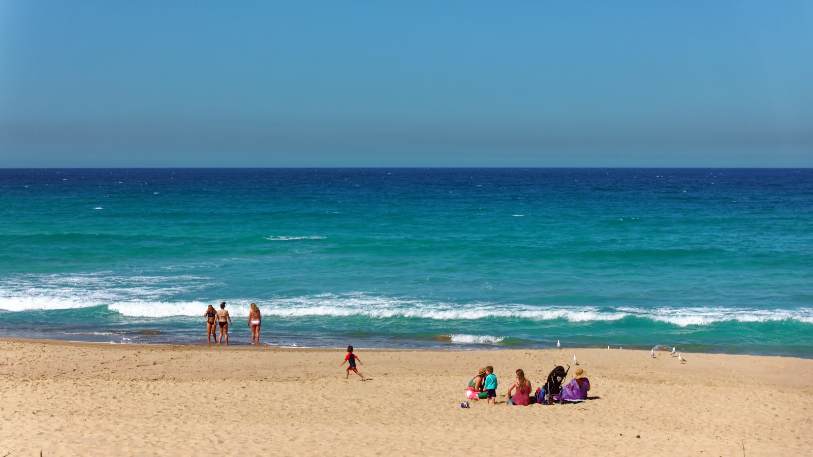Foto di North Cronulla Beach area servizi