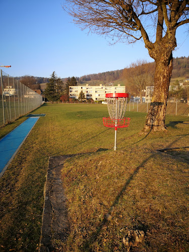 Disc Golf Parcours Unterengstringen