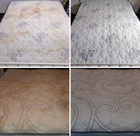 Proclean America - Photo 4 - Car repair in , Chicago