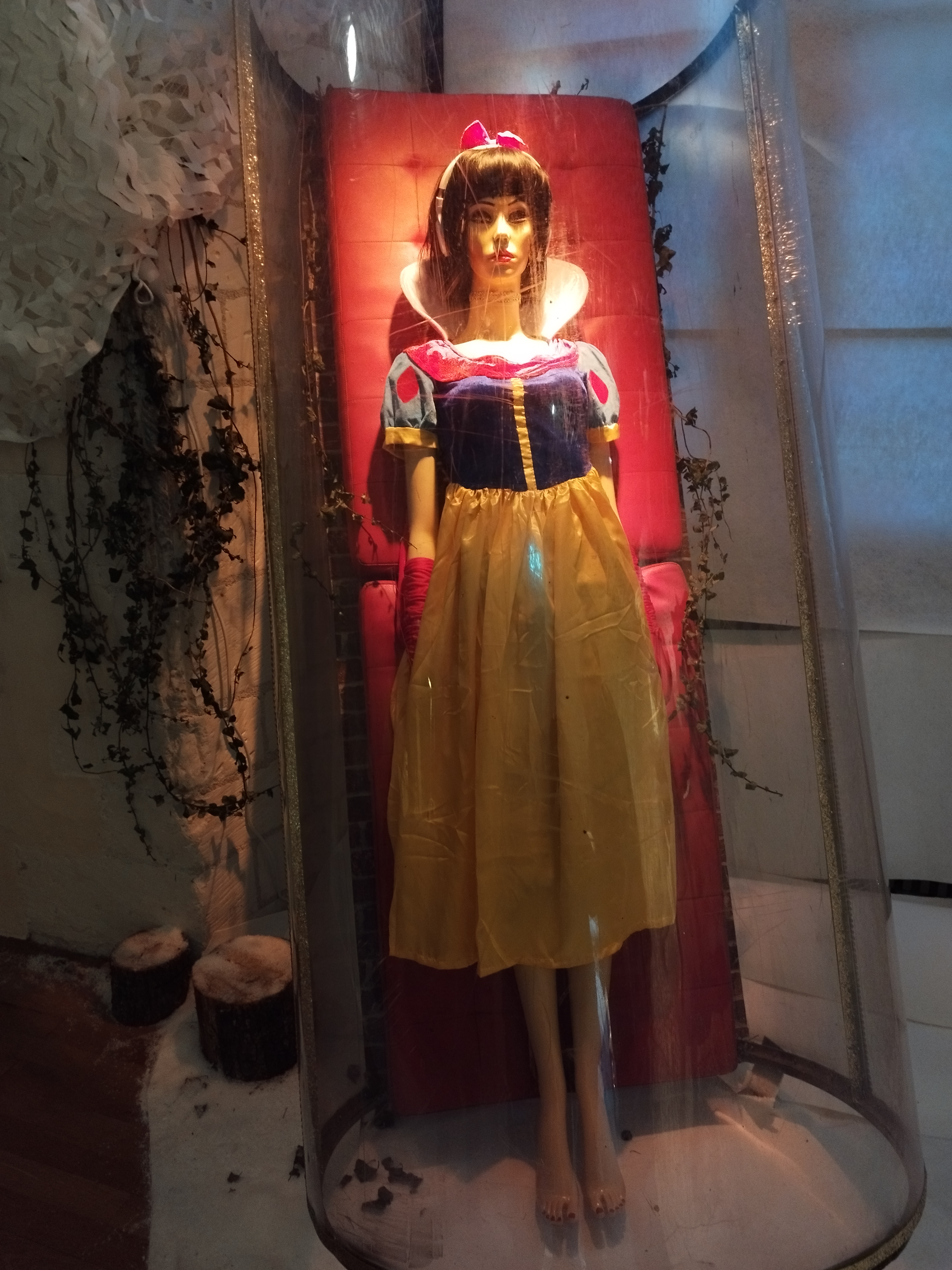 Photo n° 26 de l'avis de Sylviane.e fait le 29/12/2023 à 08:43