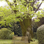 Photo n°7 de l'avis de Ancestor.a fait le 05/04/2019 à 14:37 sur le  Villa Barberina à Valdobbiadene