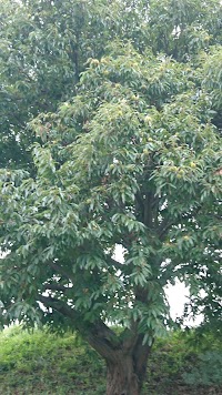 南団地公園