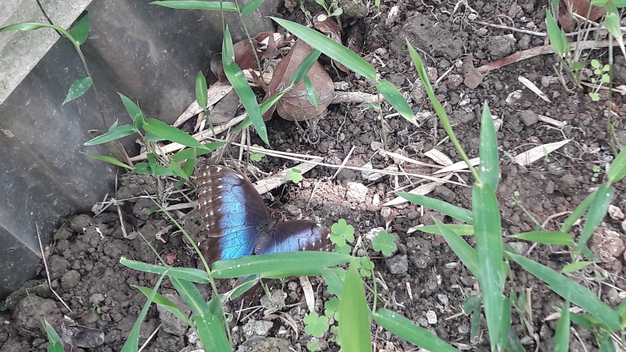 Photo n° 15 de l'avis de jessyca.a fait le 27/04/2018 à 12:12