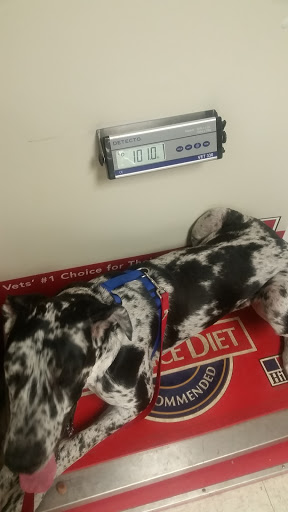 Pet Groomer «We Lov Pets», reviews and photos, 3853 Northpointe Dr, Zanesville, OH 43701, USA