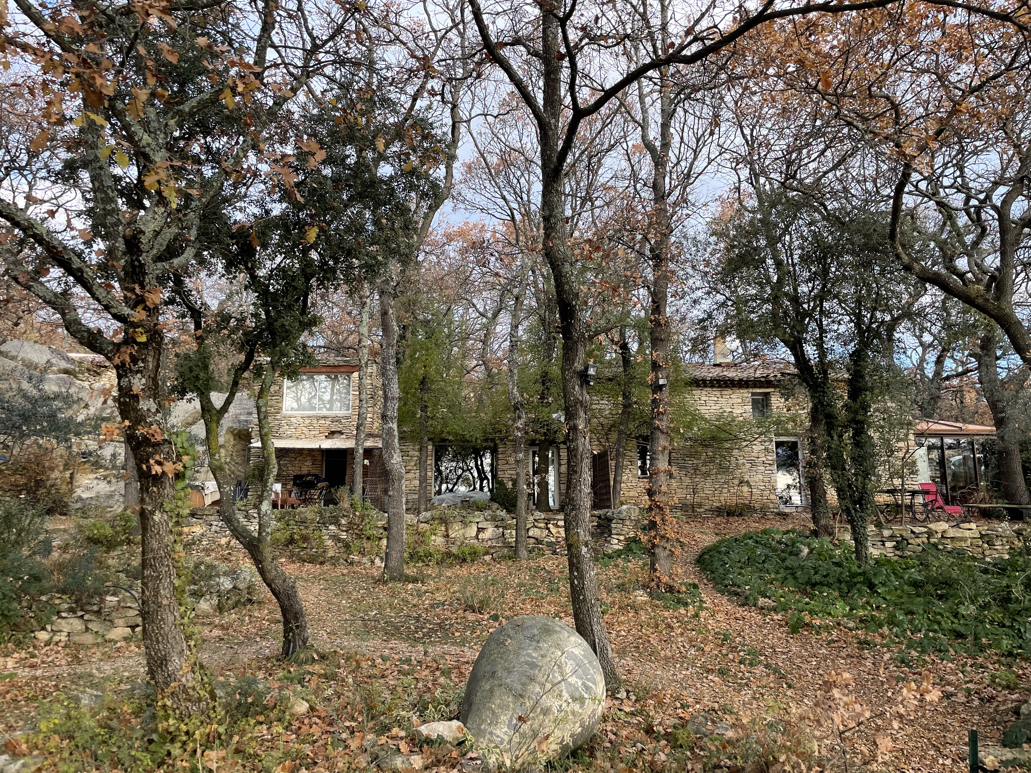 Photo n° 1 de l'avis de A.i fait le 21/12/2021 à 20:57