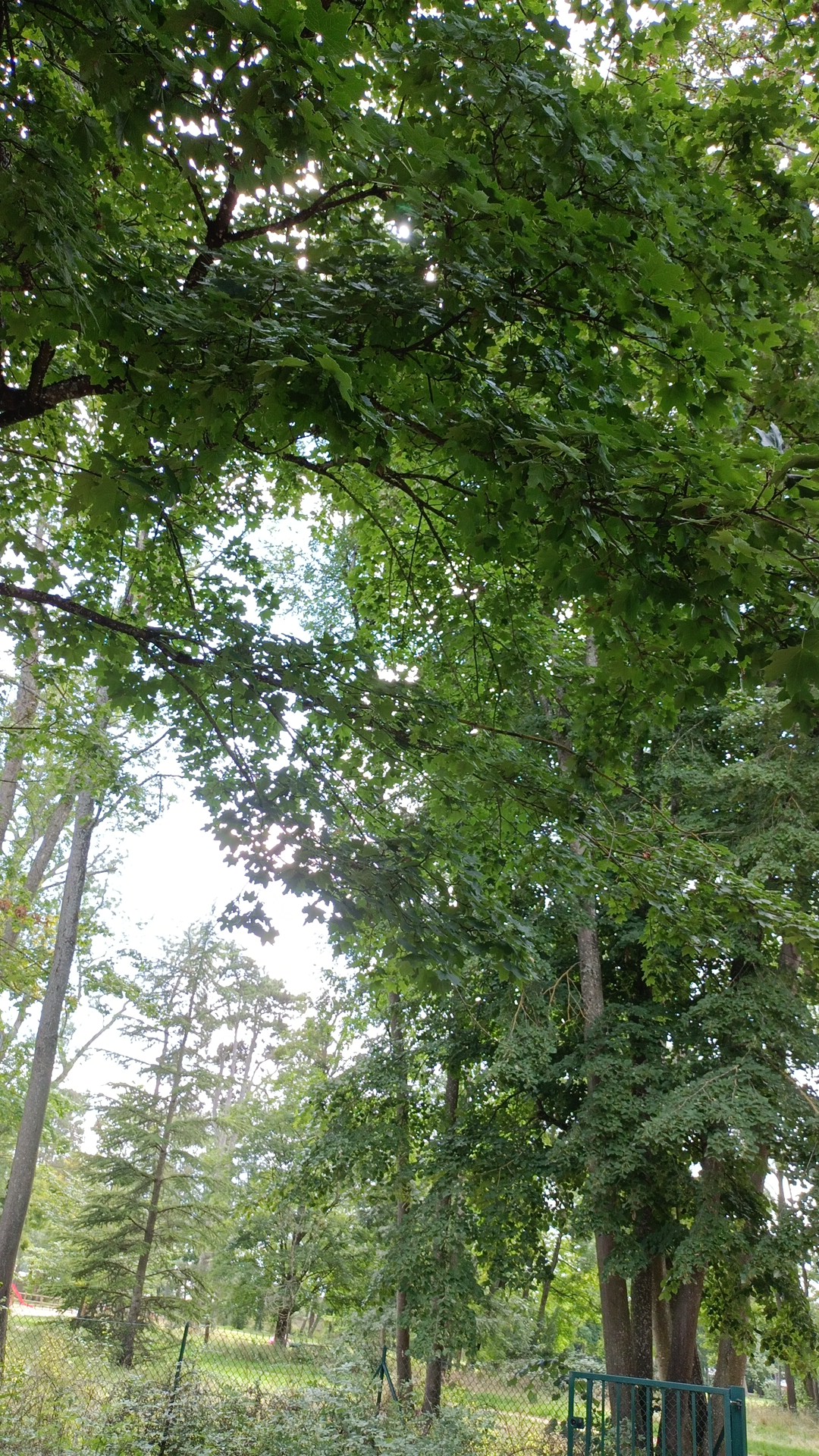 Photo n° 3 de l'avis de Abdelhafid.j fait le 25/07/2021 à 13:38