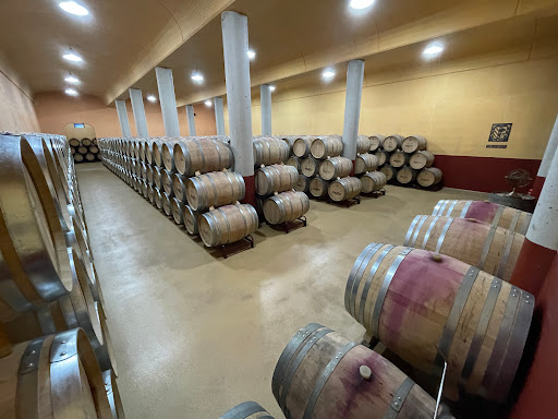 BODEGAS SOLANA DE RAMíREZ RUIZ