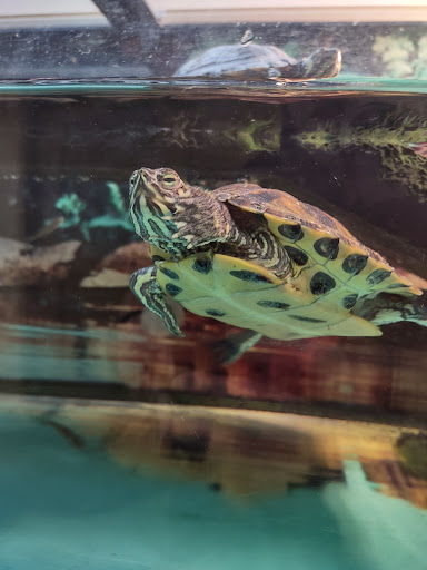 Pet Supply Store «Petco Animal Supplies», reviews and photos, 4820 South Baldwin Road #3B, Orion Township, MI 48359, USA