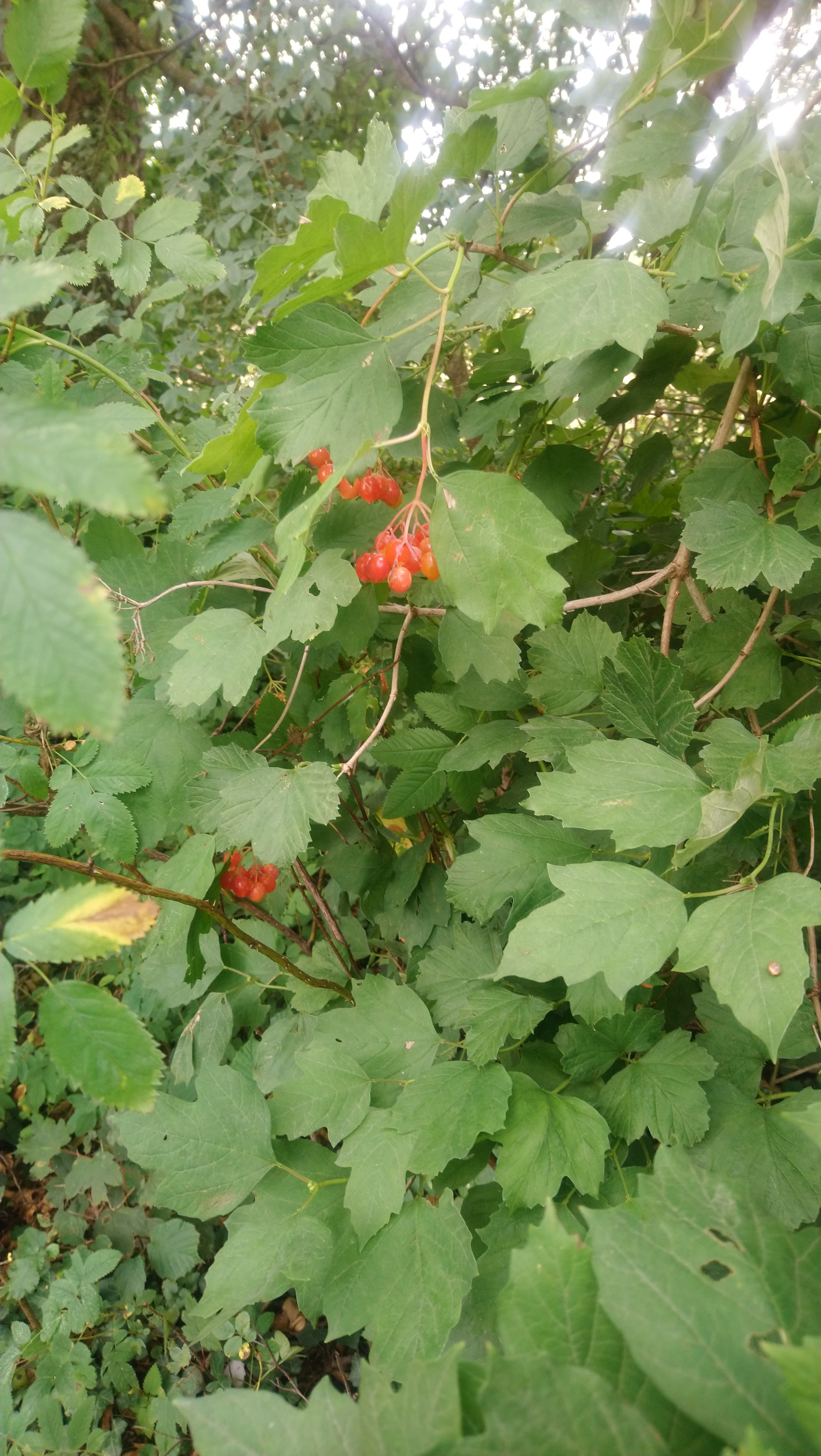 Photo n° 29 de l'avis de Angèle.K fait le 03/08/2020 à 11:24