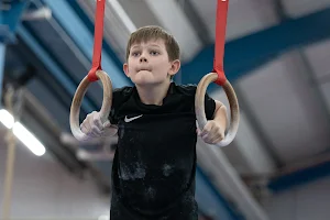 Basingstoke Gymnastic Club image