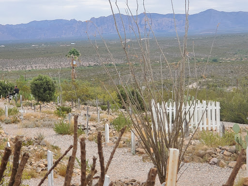 Theme Park «Old Tombstone Wild West Theme Park», reviews and photos, 339 S 4th St, Tombstone, AZ 85638, USA