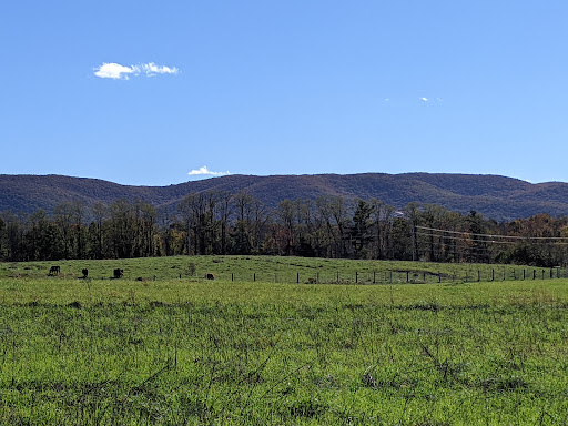 Stony Kill Farm Environmental Education Center image 7