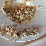 Photo n°1 de l'avis de Stefania.a fait le 08/10/2019 à 12:17 sur le  Taverna del Falconiere à Castell'Arquato