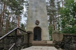 Jono Biliūno kapas image
