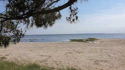 Photo de Suzette Beach - endroit populaire parmi les connaisseurs de la détente