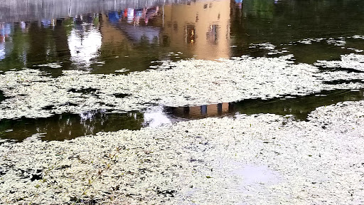 Museum «Curwood Castle Museum», reviews and photos, 224 Curwood Castle Dr, Owosso, MI 48867, USA