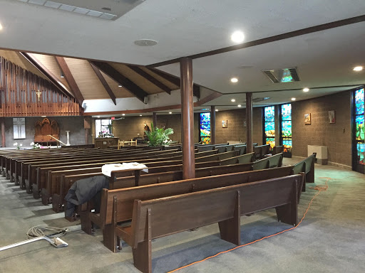 Yellow Finch Carpet Cleaning LLC