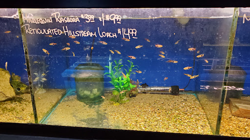 Pet Store «Pet Kingdom», reviews and photos, 3191 Sports Arena Blvd, San Diego, CA 92110, USA