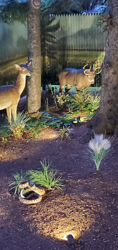 Movie Theater «Silver Lake Drive In Theatre», reviews and photos, 7037 Chapman Ave, Perry, NY 14530, USA