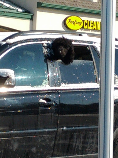 Dry Cleaner «Parkway Cleaners», reviews and photos, 623 E Gay St, West Chester, PA 19380, USA