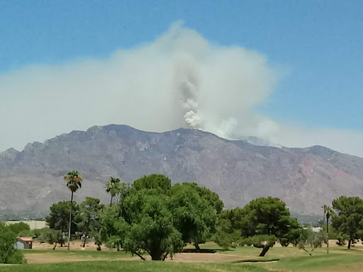 Public Golf Course «Silverbell Golf Course», reviews and photos, 3600 N Silverbell Rd, Tucson, AZ 85745, USA