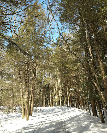 Ski Resort «High Point Cross Country Ski Center», reviews and photos, 1480 NJ-23, Sussex, NJ 07461, USA