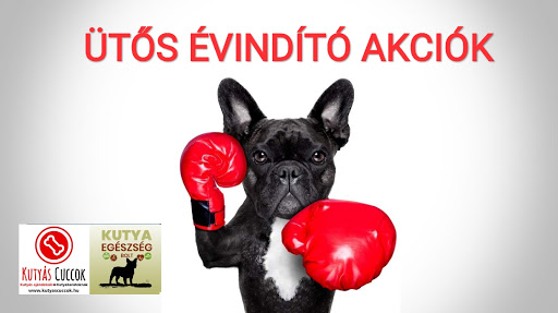 Dogs Life / Kutyás Cuccok - Kutya Egészségbolt Állateledel Állatfelszerelés