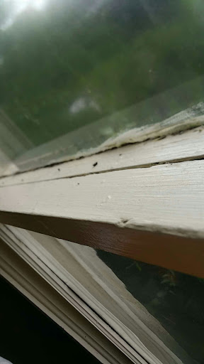 Coffee Shop «Two Story Coffee», reviews and photos, 1680 S Lumpkin St, Athens, GA 30606, USA